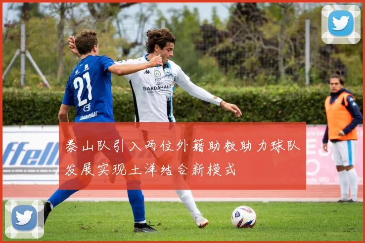 泰山队引入两位外籍助教助力球队发展实现土洋结合新模式