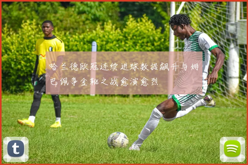 哈兰德欧冠连续进球数据飙升与姆巴佩争金靴之战愈演愈烈